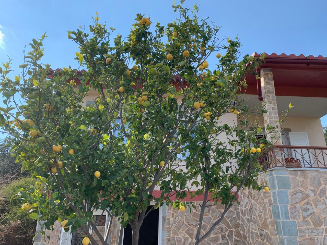 Peaceful House Near Airport Villa Pikérmion Exterior photo